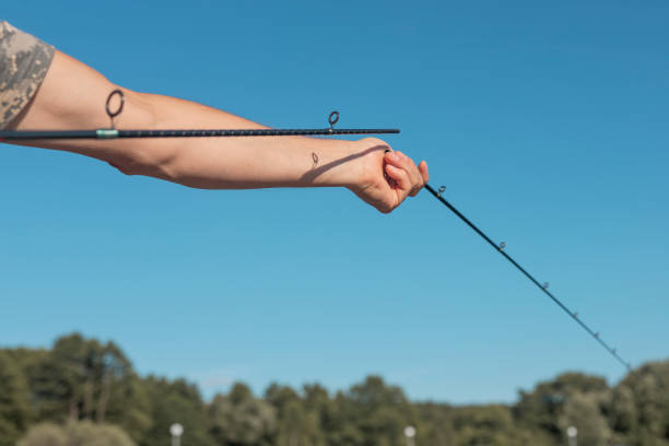 160+ Broken Fishing Rod Stock Photos, Pictures & Royalty-Free Images -  iStock