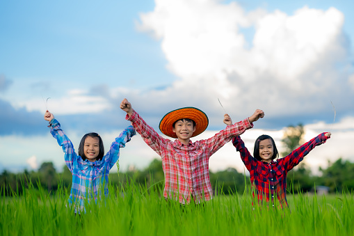 Happy children rise hand up to sky and smile in rice field of organic farmland
