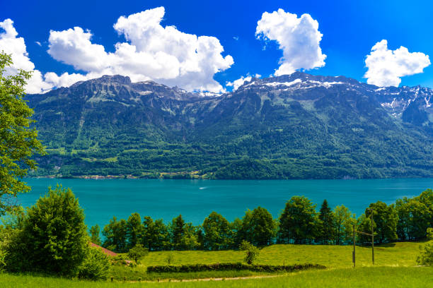 claro azure transparente lago brienz, oberried am brienzersee, interlaken-oberhasli, berna, suíça - oberhasli - fotografias e filmes do acervo