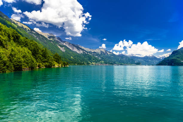 claro azure transparente lago brienz, oberried am brienzersee, interlaken-oberhasli, berna, suíça - oberhasli - fotografias e filmes do acervo
