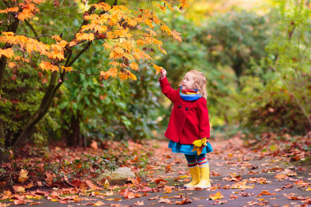 Child in fall park. Kid with autumn leaves. stock photo