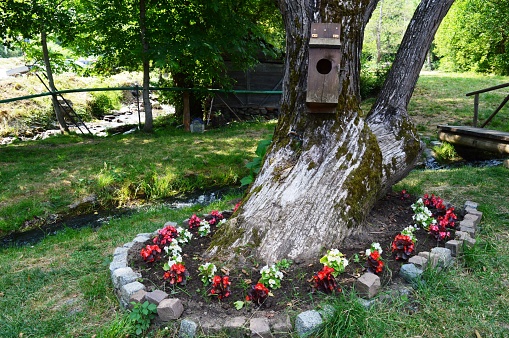 a small wooden house for birds on a tree in the park and flowers
