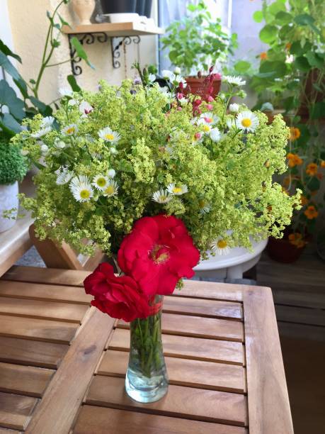 istock Garden on the balcony. First harvest 1337078984
