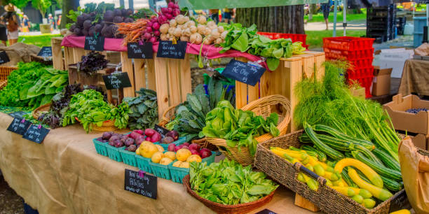 stand de produits du marché fermier - arugula salad herb organic photos et images de collection
