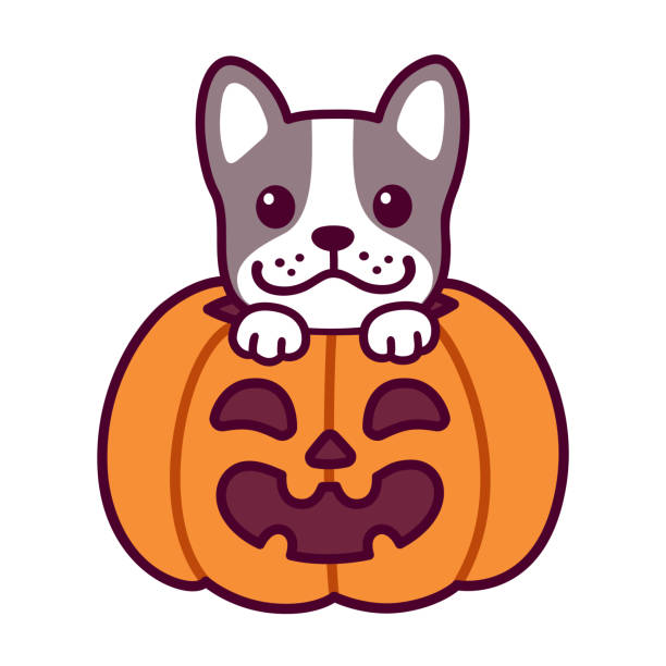 1,074 Dog Pumpkin Illustrations & Clip Art - iStock | Dog pumpkin patch,  Dog pumpkin fall