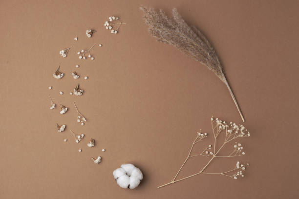 istock Cosmetic background with flowers on brown. Flat lay, copy space 1337079330