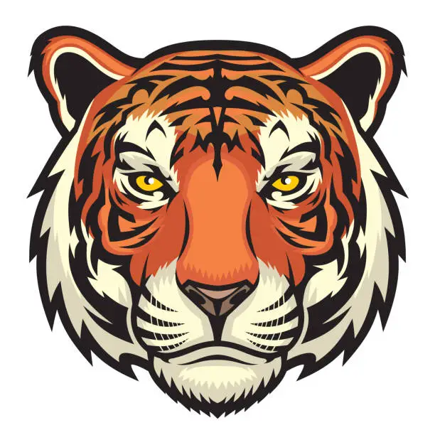 Vector illustration of Tiger, wild big cat head.