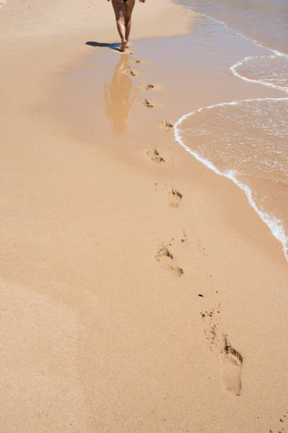 istock Caucasian woman seen from her back walking on an empty beach. Footprints in the sand. Circulatory system is improved by aerobic exercise, like walking on the seaside. Portugal 1337081699