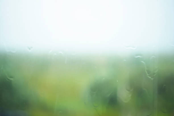 vetro della finestra nebulizzato. gocce e rivoli d'acqua. pioggia fuori dalla finestra. - meteorology rain fog forest foto e immagini stock
