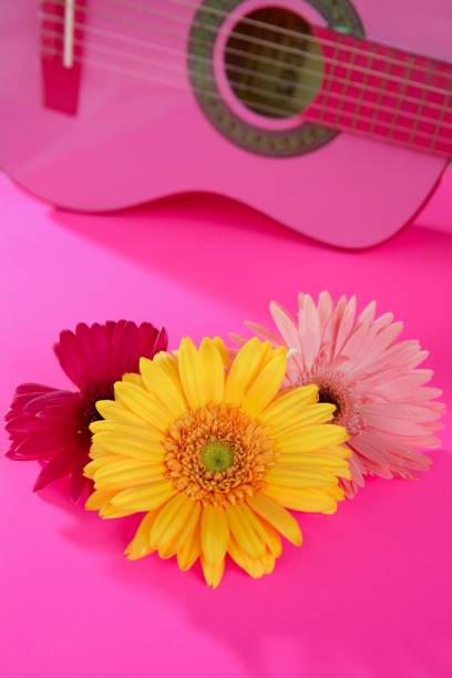 istock Hippie flower yellow pink gerbera on guitar 1337085049