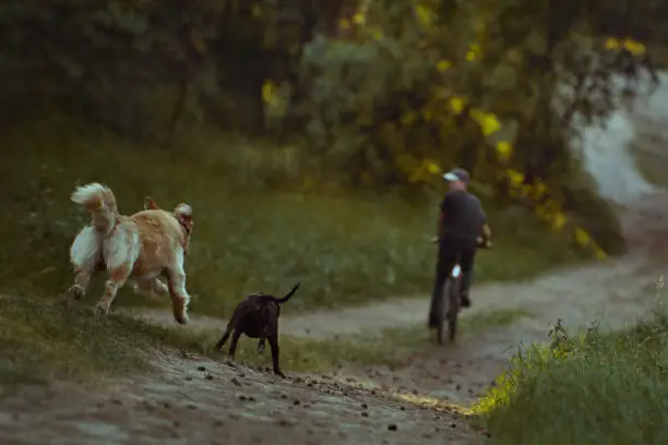 A man running away from pet dog