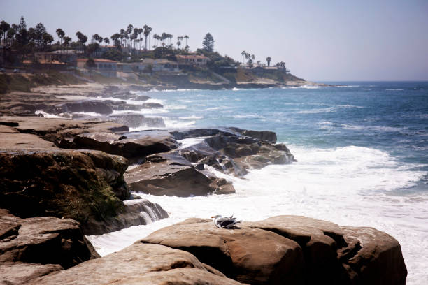 A point of view of a La Jolla beach