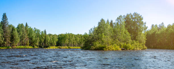 istock River in the forest taiga. Panoramic view of nature, summer day. 1337092811