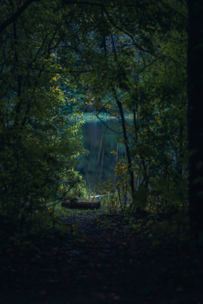 istock Secret place near lake 1337092861
