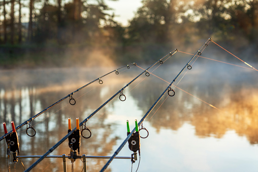 Carp fishing rods misty lake in bulgaria.