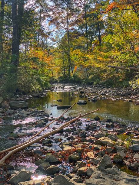 istock Boyle Park's Rock Creek in Autumn 1337095915