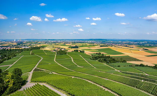 Landscape in Germany in Baden Wuertemberg. Heilbronn and surrounding area, seen from Heuchelberg, vineyard and plane