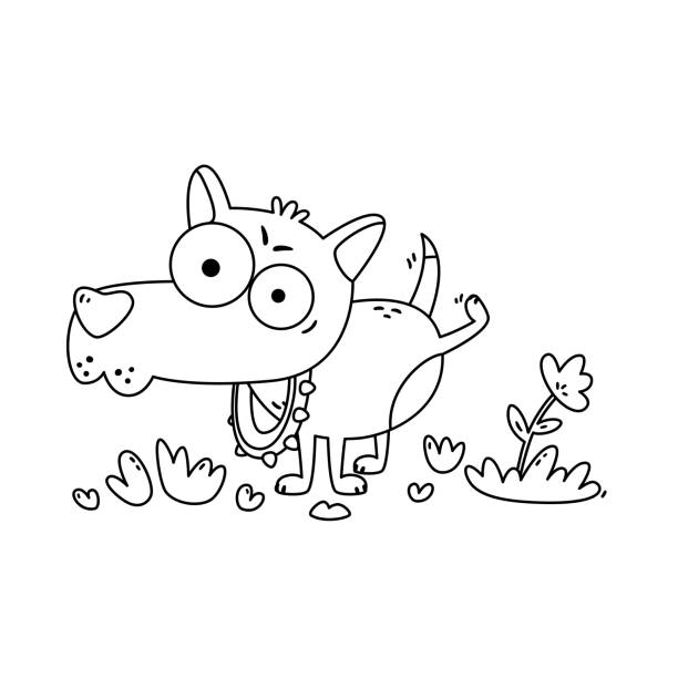 маленькая собачка с большими глазами мочится на цветок. чихуахуа в воротнике с шипами на прогулке. забавная векторная иллюстрация в плоско� - dog mixed breed dog puppy white background stock illustrations