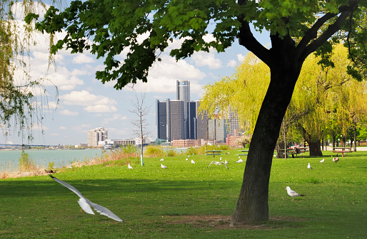 The Detroit skyline as seen from Belle Isle.