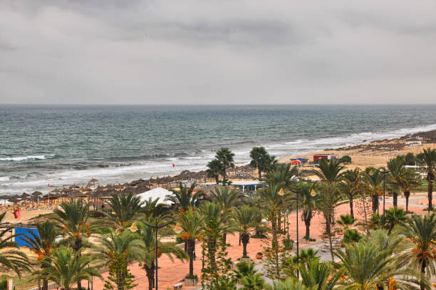 istock Beach alley with Date Palms in Hammamet, Tunisia, Mediterranean 1337101007