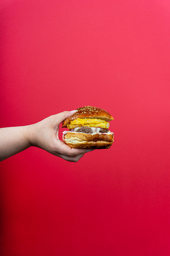 human hand holding tasty hamburger cheeseburger isolated on red background.
