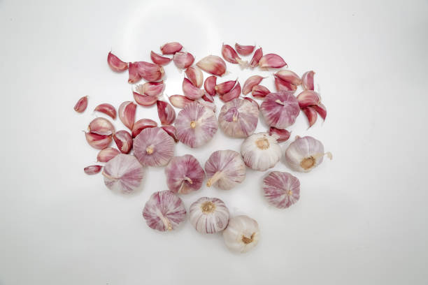 istock garlic head on the table with spice grinder. 1337104516