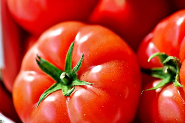 istock close up on ripe tomatoes 1337108136