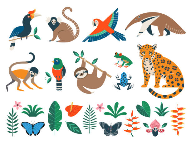 wilde regenwaldtiere, vögel, blumen und blätter - tier stock-grafiken, -clipart, -cartoons und -symbole