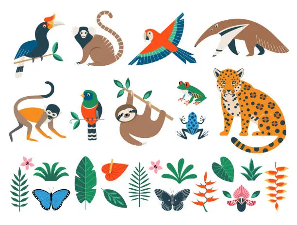 Vector illustration of Wild rainforest animals, birds, flowers and leaves