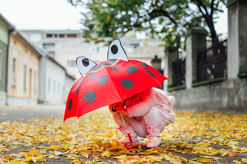 Preschool girl with red umbrella playing on the autumn street.