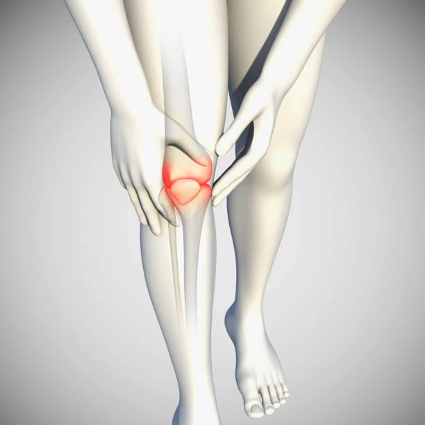 istock 3d Illustration of Knee Pain Front View 1337114006