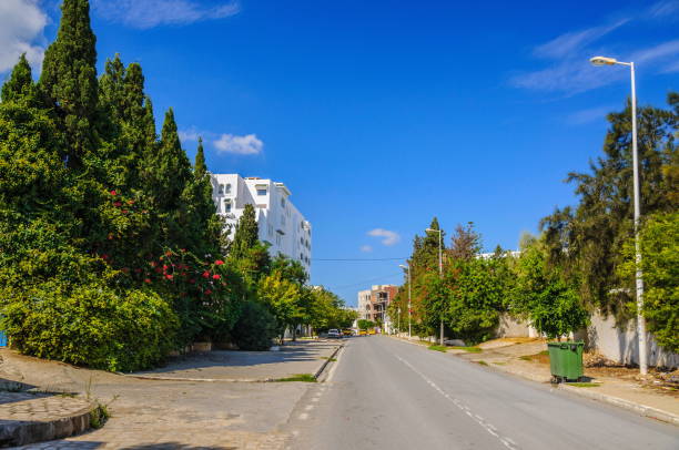 istock Street with trees in Hammamet Tunisia 1337114065