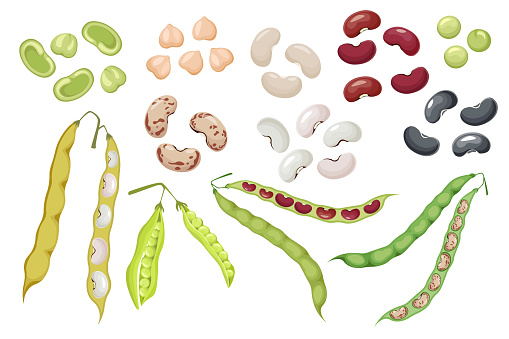 Set of Icons Bean Pods and Seeds, Green Pea and Chickpea Natural Vegetables. Kidney Harvest, Healthy Food Isolated on White Background. Organic Veggies, Garden Plants. Cartoon Vector Illustration