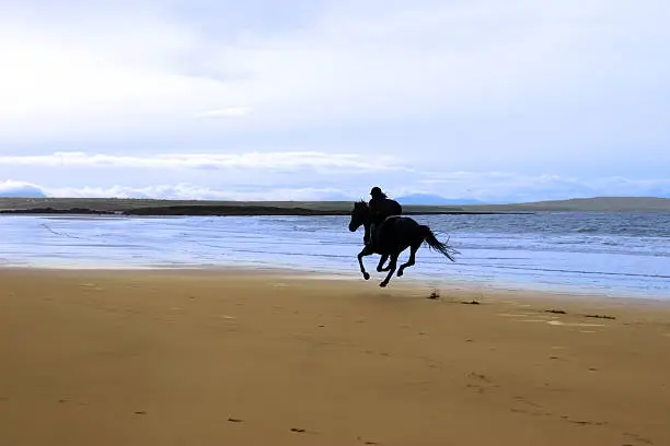 Photo of horse and rider galloping along the coast