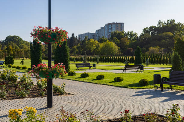 istock City park with excellent landscaping. Good eco-friendly urban environment. Selective focus 1337118818