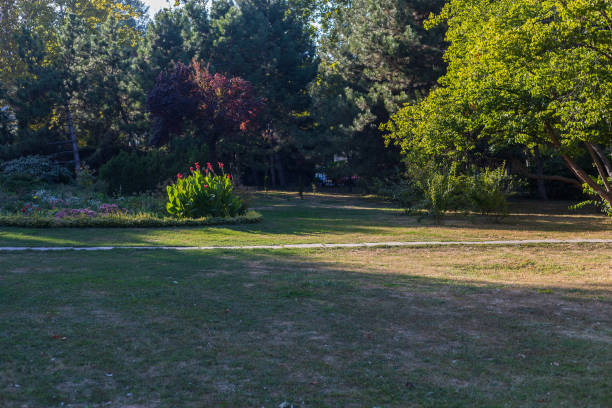 istock City park with excellent landscaping. Good eco-friendly urban environment. Selective focus 1337118837