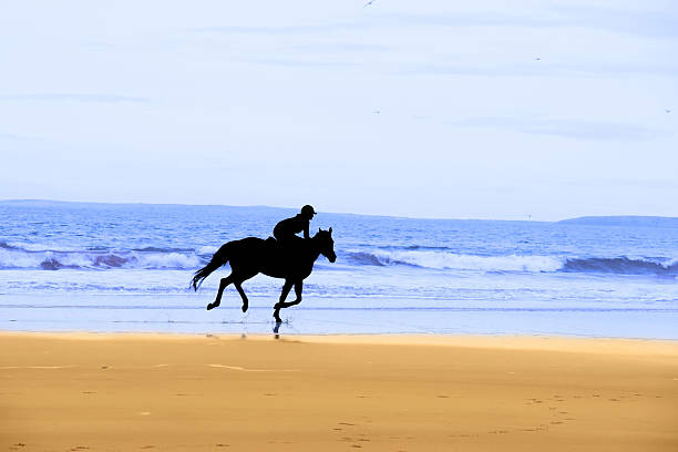 cavallo e surfista silhouette galloping lungo la costa - kerry coast foto e immagini stock