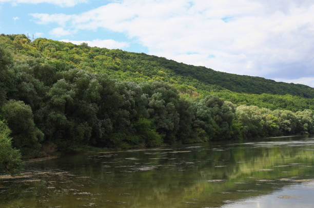 istock Very beautiful river water surface. Natural green background. 1337120197