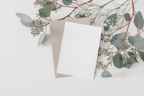 istock Wedding, birthday stationery composition. Blank greeting card, invitation mockup and craft envelope. Green Eucalyptus populus branches, Gypsophila flowers isolated on table background. Flat lay, top. 1337122508