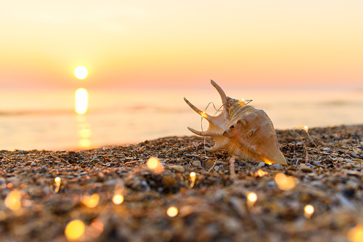 Beautiful shell with garland lights on the background of the sea and a beautiful sunset. New Year card with sea background. Selective focus on the shell.