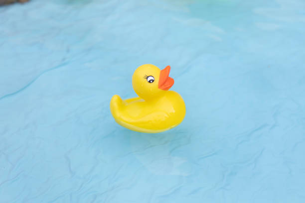 istock Rubber yellow duck in a pool of water 1337125071