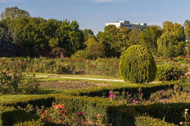istock City park with excellent landscaping. Good eco-friendly urban environment. Selective focus 1337125236