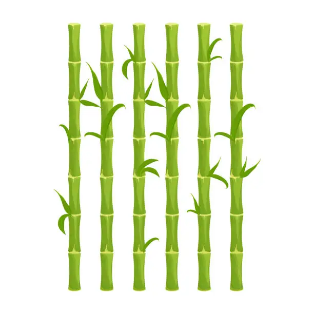 Vector illustration of Green bamboo fence with leaves, wall in cartoon style isolated on white background. Natural barrier from sticks, planks. Rustic outdoor protection. Asian, tribal. Vector illustration