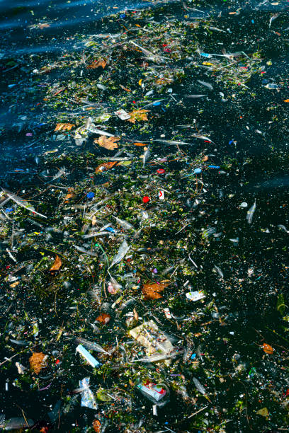 istock Garbage piled up on the beach in İstanbul. 1337151494