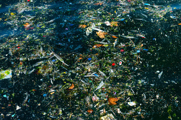 istock Garbage piled up on the beach in İstanbul. 1337151519