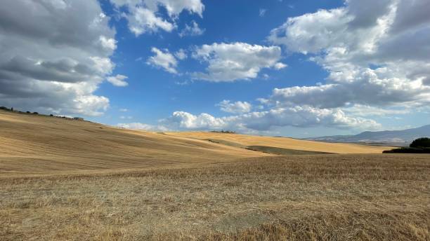 istock Landscape around Monticchiello, Tuscany, Val D’Orcia 1337153792