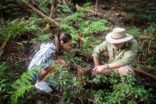 istock Father teaching his daughter about mushrooms growing on tree stump 1337155568
