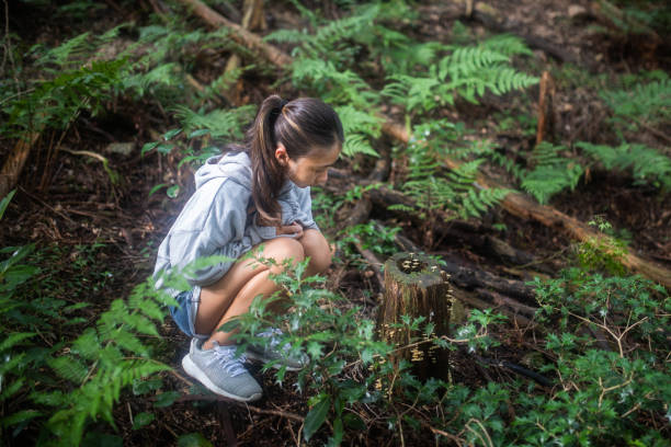 istock Young girl looking at mushrooms growing on tree stump 1337155571