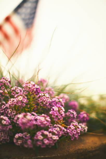 istock Defocused American Flag with Pink Flowers and Copy Space 1337160930