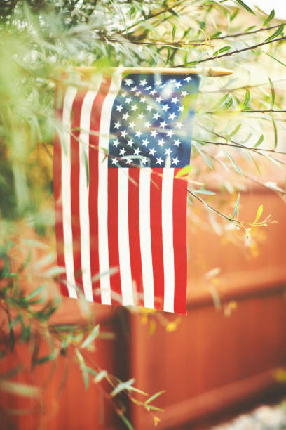 istock American Flag Between Branches of Willow Tree 1337160947